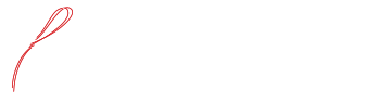 最近の活動
